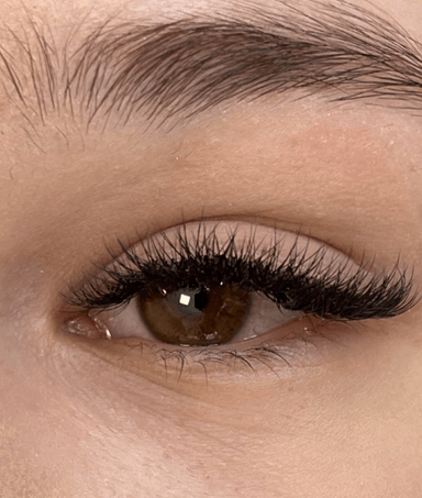 K.V. skaistuma studija