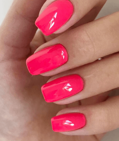 Necesse Skaistuma Studija