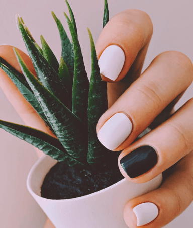 Manikīrs un pedikīrs mājās