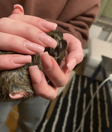 ~Skaisti nagi Rīga~