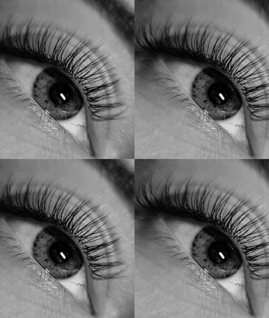 Estella (salons “Daiļumnīca”