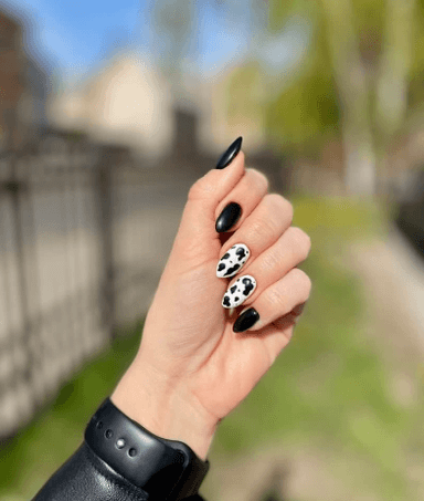 Pedikirs_violettavio