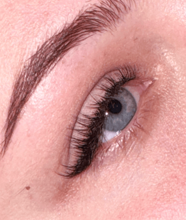 Enchanted Fox Beauty