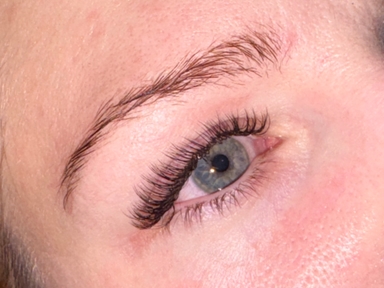 Enchanted Fox Beauty