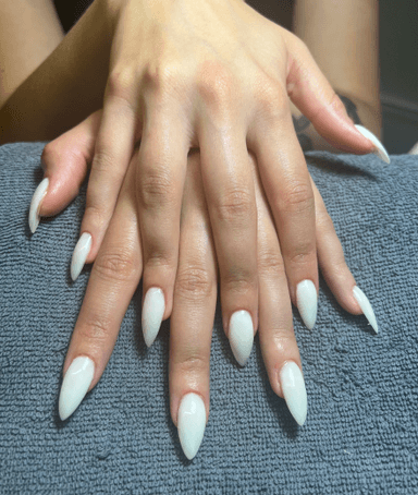 IRSTILS  SKAISTUMA STUDIJA