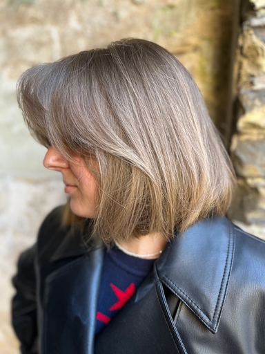 IRSTILS  SKAISTUMA STUDIJA