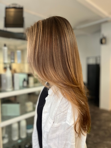 IRSTILS  SKAISTUMA STUDIJA