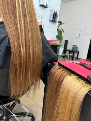 Skaisto matu Studija Jelgava