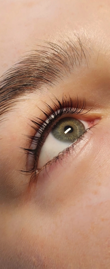 Elegant Beauty , Salaspils