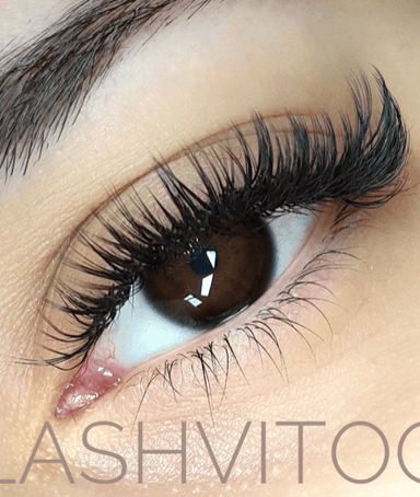 Lashvitoo