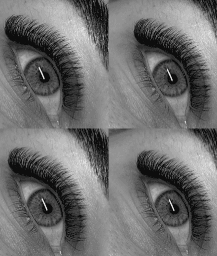 Estella (salons “Daiļumnīca”